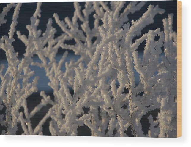  Wood Print featuring the photograph Snow Scean 4 by Phyllis Spoor