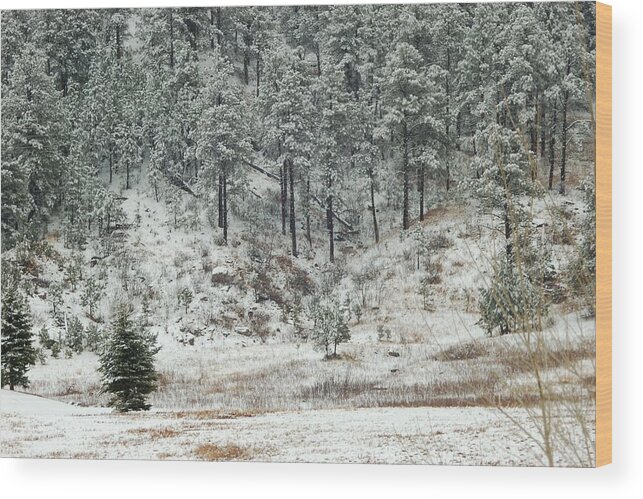 Dakota Wood Print featuring the photograph Snowy Day by Greni Graph