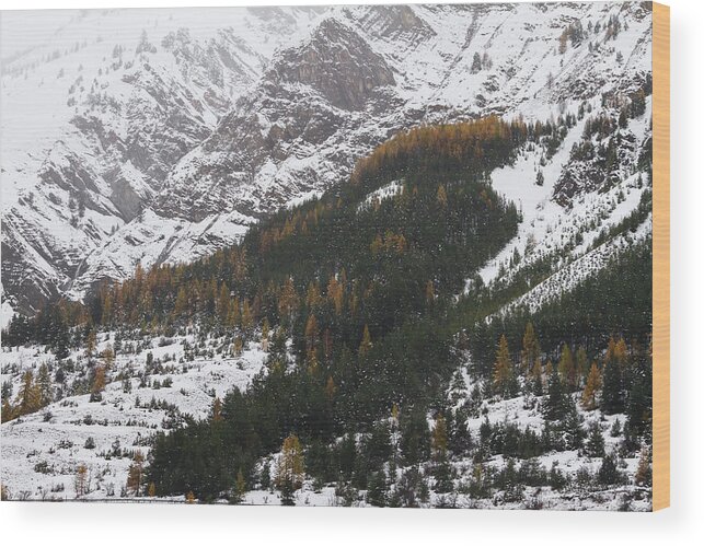 Snowy Landscape Wood Print featuring the photograph Snowy mountains - 2 - French Alps by Paul MAURICE