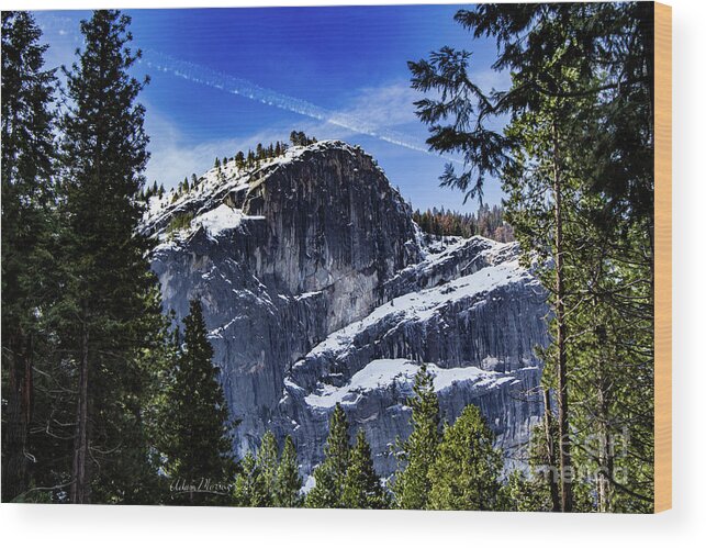 Landscape Wood Print featuring the photograph Snowy Sentinel by Adam Morsa