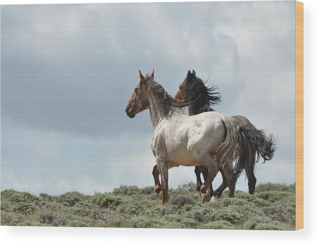 Wild Horses Wood Print featuring the photograph So Long by Frank Madia