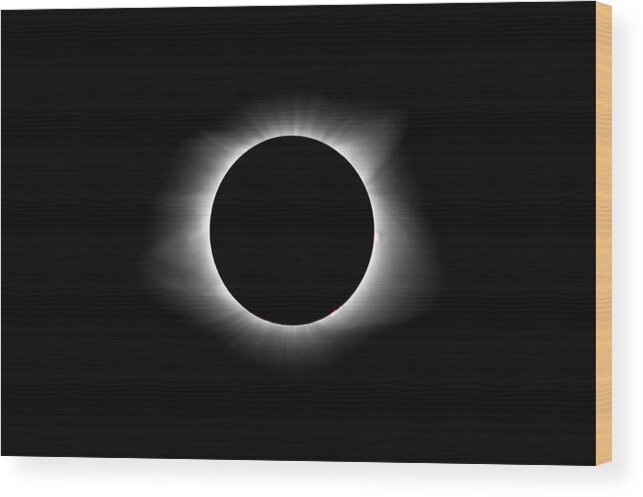 Da* 300 Wood Print featuring the photograph Solar Eclipse Ring of Fire by Lori Coleman