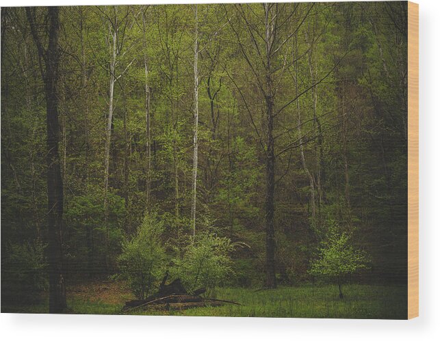 Woods Wood Print featuring the photograph Somewhere In The Woods by Shane Holsclaw