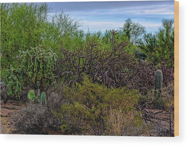 Arizona Wood Print featuring the photograph Sonoran Blend h1820 by Mark Myhaver