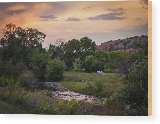 National Parks Wood Print featuring the photograph South Dakota by Aileen Savage