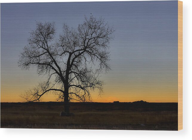 Sam Amato Photography Wood Print featuring the photograph South Dakota Lone Tree Sunset by Sam Amato