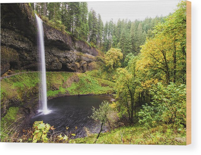 Oregon Wood Print featuring the photograph South Silver Falls 2 by Jedediah Hohf