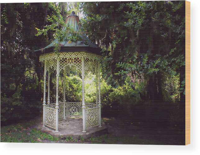 Charleston Wood Print featuring the photograph Southern Charm by Jessica Brawley