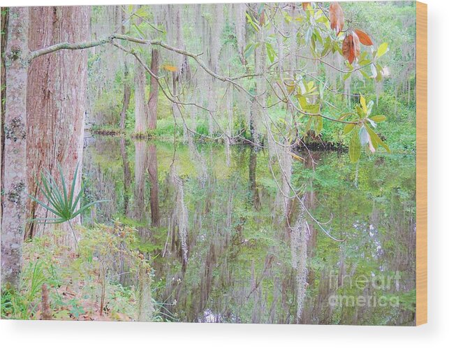 Southern Wood Print featuring the photograph Southern Plantation by Merle Grenz