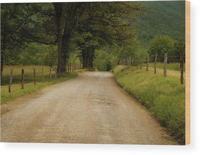Cades Cove Wood Print featuring the photograph Sparks Lane - Cades Cove by Andrew Soundarajan