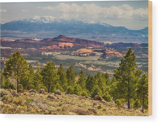 Utah Wood Print featuring the photograph Spectacular Utah Landscape Views by James BO Insogna
