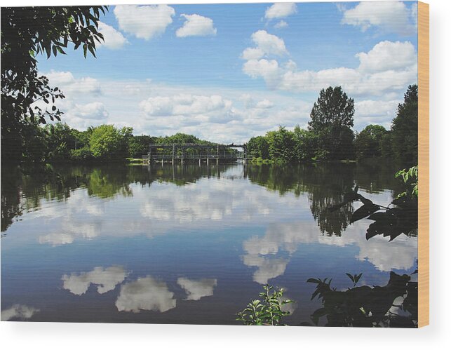 Guelph Wood Print featuring the photograph Speed River Dam by Debbie Oppermann
