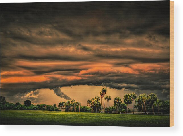 Florida Wood Print featuring the photograph Spin-up by Marvin Spates