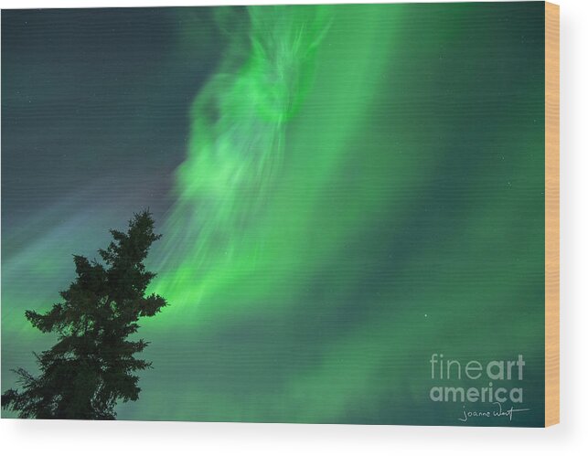 Northern Lights Wood Print featuring the photograph Spirit in the Sky Aurora Borealis by Joanne West