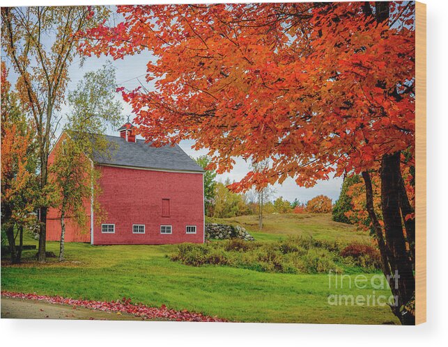 Red Wood Print featuring the photograph Splendid Red Barn in the Fall by Alana Ranney