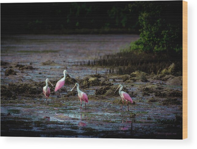Birds Wood Print featuring the photograph Spooning Party by Marvin Spates