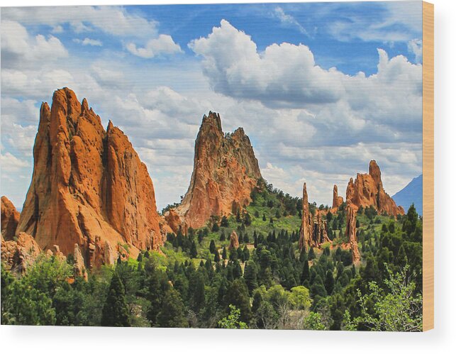 Colorado Wood Print featuring the photograph Spring At Garden Of The Gods by Juli Ellen