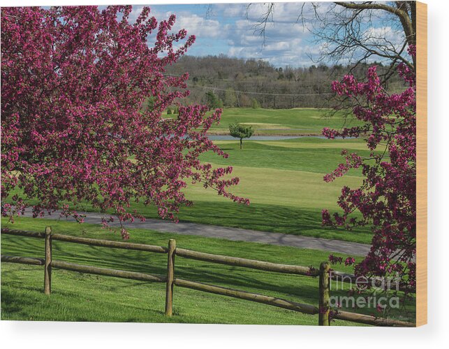 Golf Course Wood Print featuring the photograph Spring Beauty At Rivercut by Jennifer White