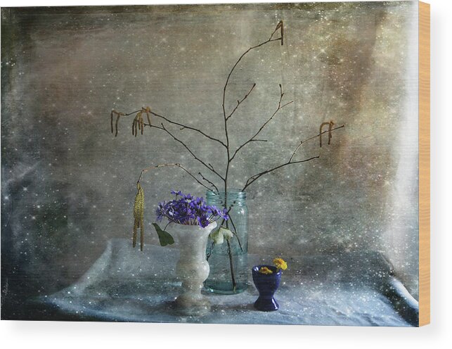 Blue Wood Print featuring the photograph Spring Collection by Randi Grace Nilsberg