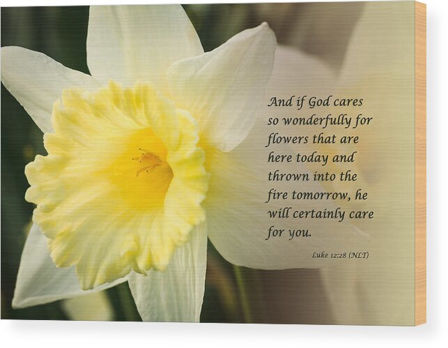 God Wood Print featuring the photograph Spring Daffodils Wtih Scripture by Joni Eskridge