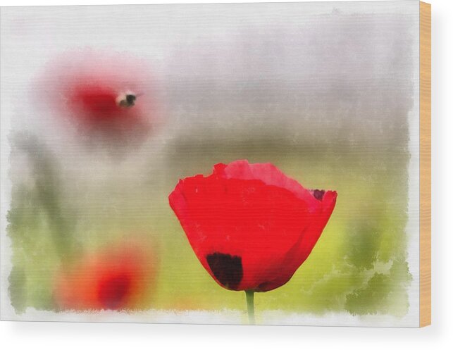 Spring Poppy Impression Wood Print featuring the digital art Spring flowering poppies by Michael Goyberg