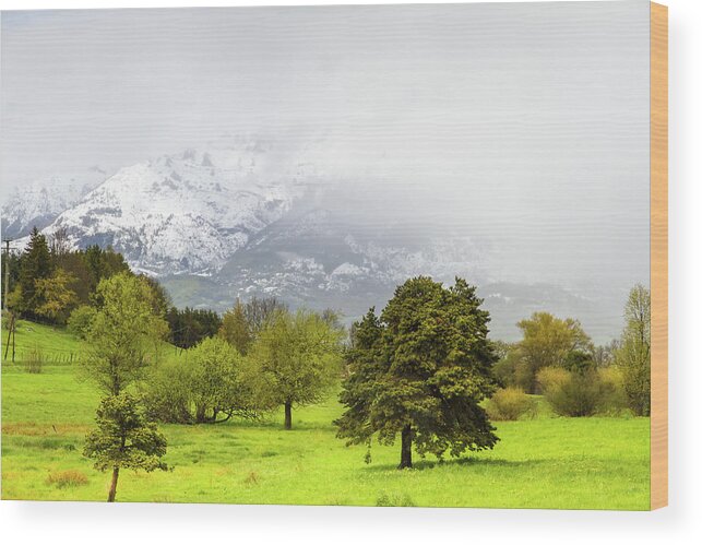 Mountain Landscape Wood Print featuring the photograph Spring in French Alps - 1 by Paul MAURICE