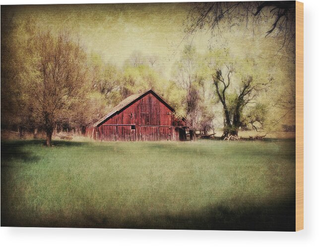 Barn Wood Print featuring the photograph Spring In Nebraska by Julie Hamilton