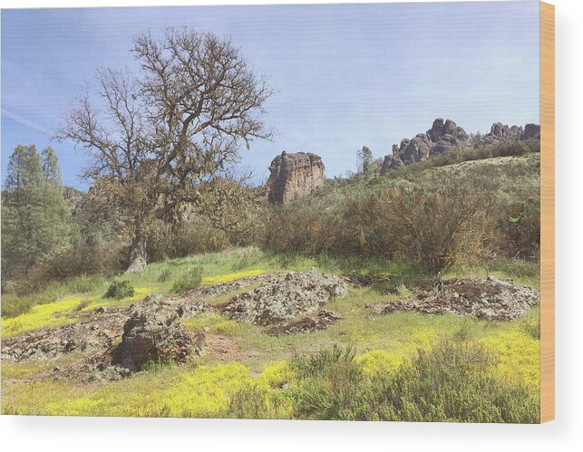 Pinnacles National Park Wood Print featuring the photograph Spring in Pinnacles National Park by Art Block Collections