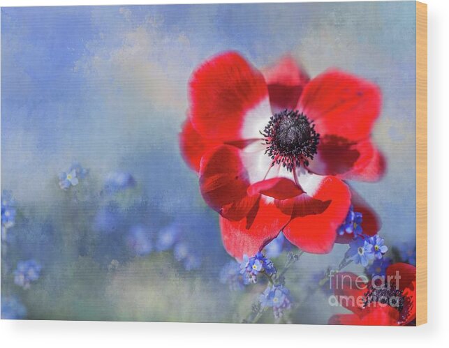 Anemone Wood Print featuring the photograph Spring in Red and Blue by Eva Lechner