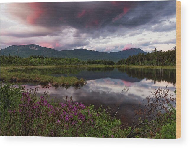 Maine Wood Print featuring the photograph Spring in the North Woods by Patrick Downey