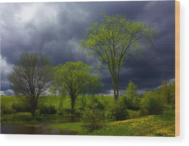 Spring Wood Print featuring the photograph Spring Meadow Storm Light by Irwin Barrett