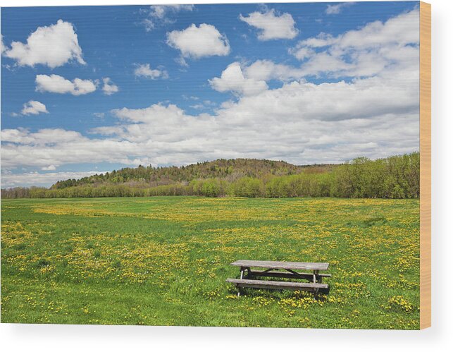 Spring Wood Print featuring the photograph Spring Picnic by Alan L Graham