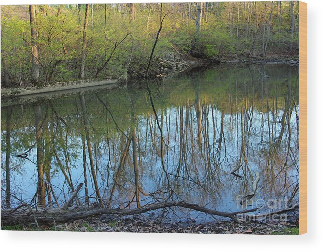 Reflections Wood Print featuring the photograph Spring Reflections by Karen Adams