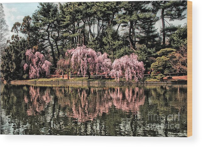 Landscape Wood Print featuring the photograph Spring Reflections by Onedayoneimage Photography