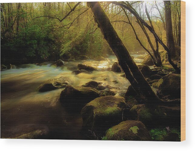 River Wood Print featuring the photograph Spring Time Along The River by Mike Eingle