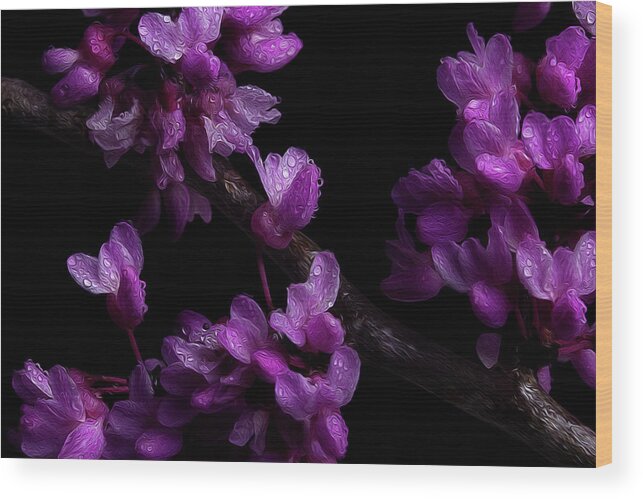 Redbud Wood Print featuring the photograph Spring Time Redbud 7 by Mike Eingle