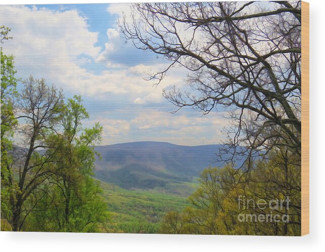 Skyline Drive Wood Print featuring the photograph Spring View Along Skyline Drive by Kerri Farley