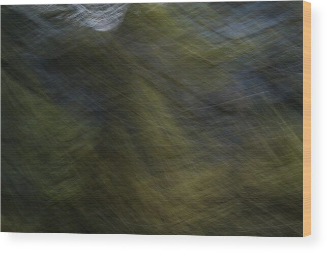 Impressionism Wood Print featuring the photograph Spring Winds by Deborah Hughes