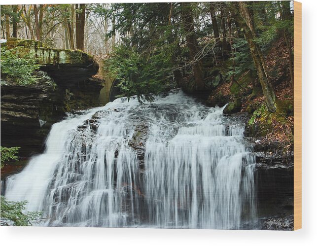 Water Wood Print featuring the photograph Springfield Falls by Skip Tribby