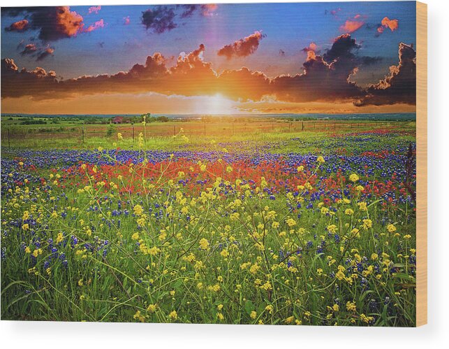 Springtime Wood Print featuring the photograph Spring's Hope by Lynn Bauer