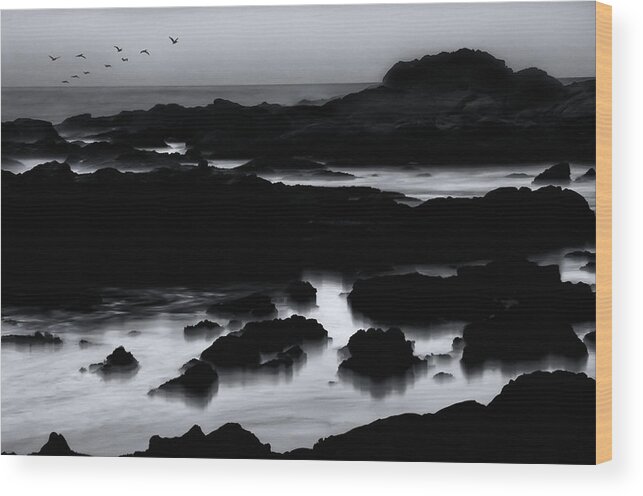Pelicans Wood Print featuring the photograph Squadron of Pelicans At Dusk by Lawrence Knutsson