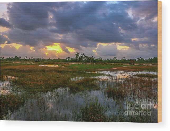 Storm Wood Print featuring the photograph Srormy Marsh at Pine Glades by Tom Claud