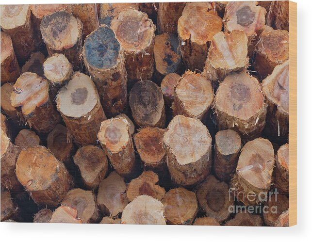 Abstract Wood Print featuring the photograph Stacked Logs by Jerry Fornarotto