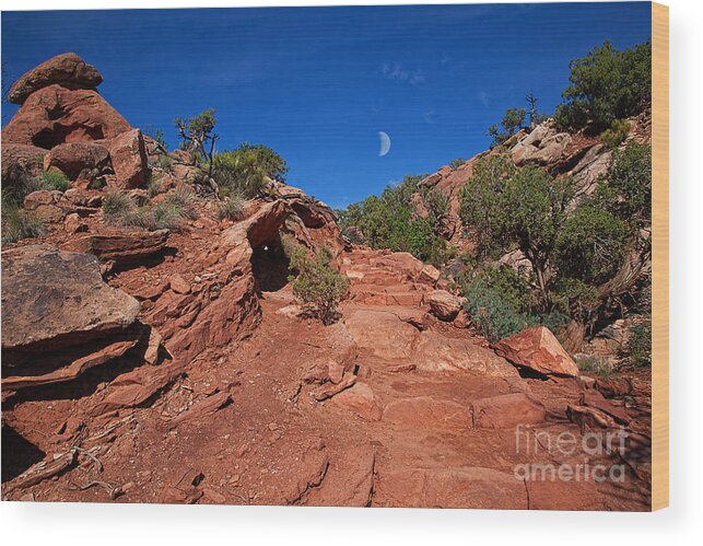 Red Rocks Wood Print featuring the photograph Stairway to Heaven by Jim Garrison