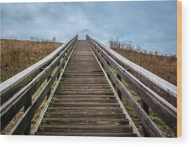 Stairs Wood Print featuring the photograph Stairway to the Sky by James L Bartlett