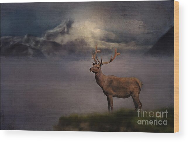 Elk Wood Print featuring the photograph Standing Proud by Pam Holdsworth