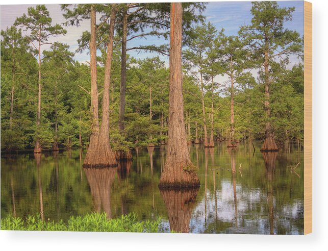 Bayou Wood Print featuring the photograph Standing Strong by Ester McGuire