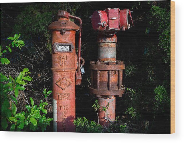 Standpipes Wood Print featuring the photograph Standpipes by Derek Dean