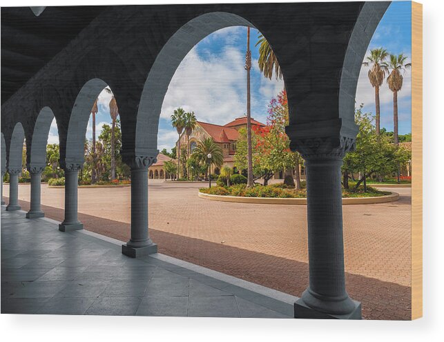 City Wood Print featuring the photograph Stanford Campus by Jonathan Nguyen