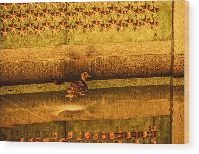 American Wood Print featuring the photograph Star Reflections by Art Atkins